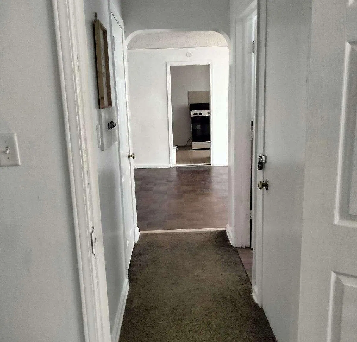 1 bed, $800 — Photo 3