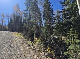 349 N Scenic Dr, Brian Head, UT 84719