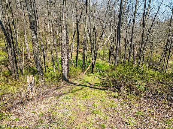 5th image of 7313 County Road 22