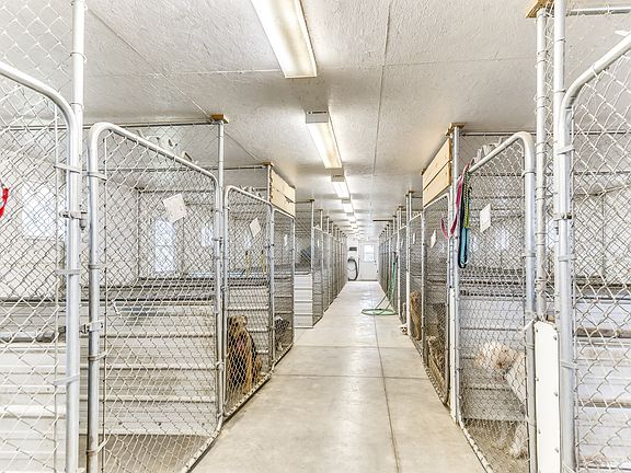 Kennel units