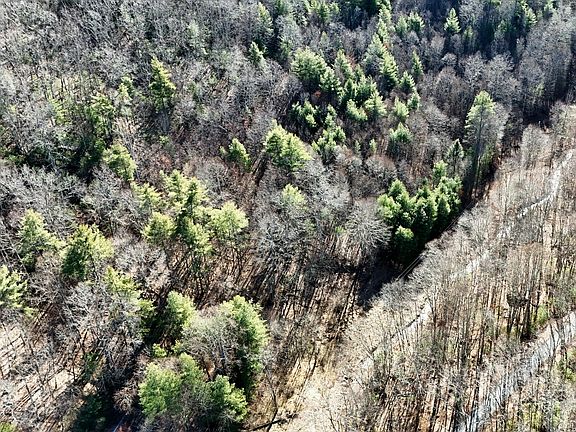 5th image of 6290 Hollywood Glace Rd