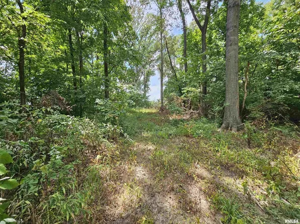 0 N Cash Ln, Waltonville, IL 62894