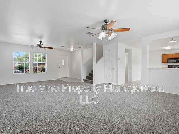 3rd image of 136 Texas Mulberry
