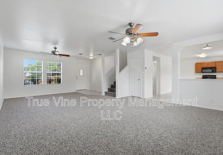 136 Texas Mulberry — Photo 3