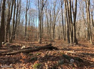 Brodie Mount Rd, Lanesborough, MA 01237