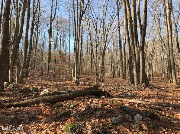 Brodie Mount Rd, Lanesborough, MA 01237