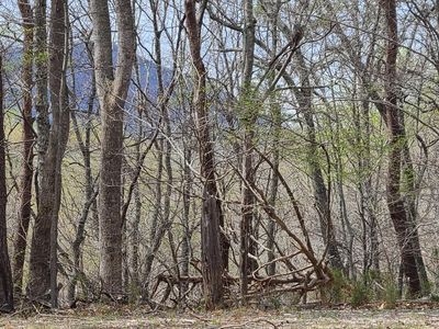 4 Teakwood Dr, Pittsville, VA, 24139