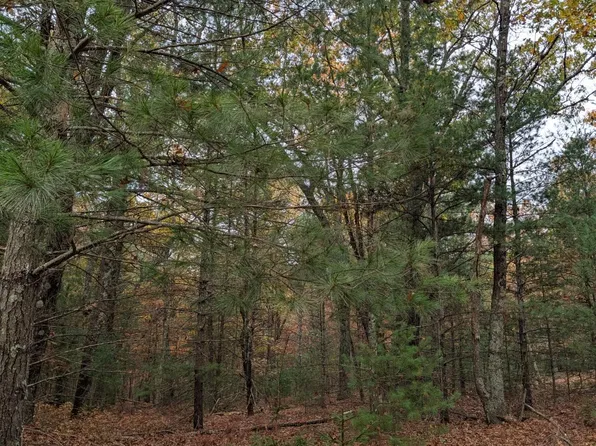 W Crystal Lake Rd, Whitehall, MI 49461
