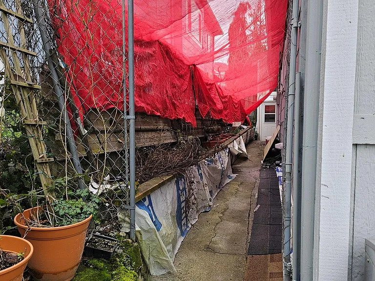 Entry with small garden