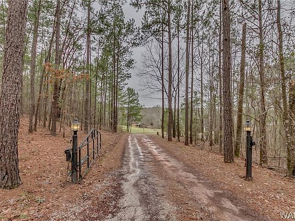 4th image of 10404 Haun Dr
