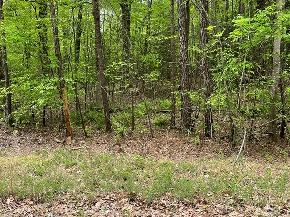 77 Puddle Stone Ln, Henderson, NC 27537