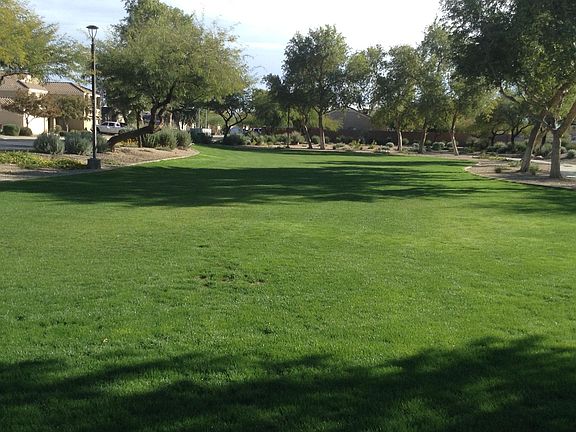 5th image of 12506 W Via Camille