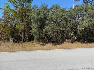 143 Cypress Blvd E, Homosassa, FL 34446