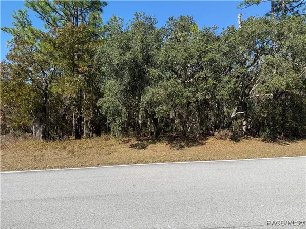 143 Cypress Blvd E, Homosassa, FL 34446