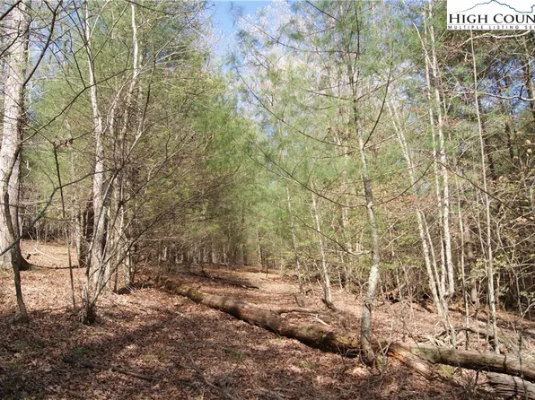 Tract 3 Lake Valley Drive, Ennice, NC 28623