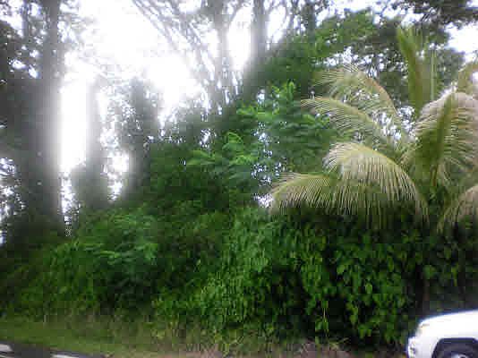 1st image of Kahakai Blvd Lot 2
