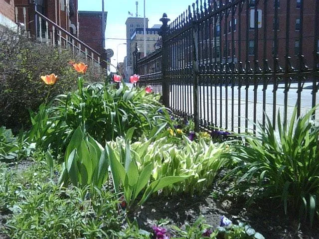 Main St — Photo 16