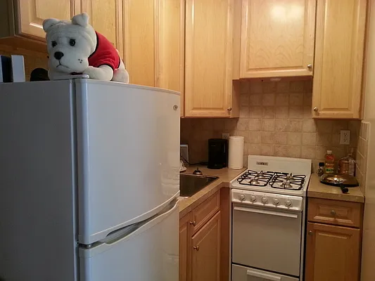 Rented by Guidance Realty Corp. | media 11