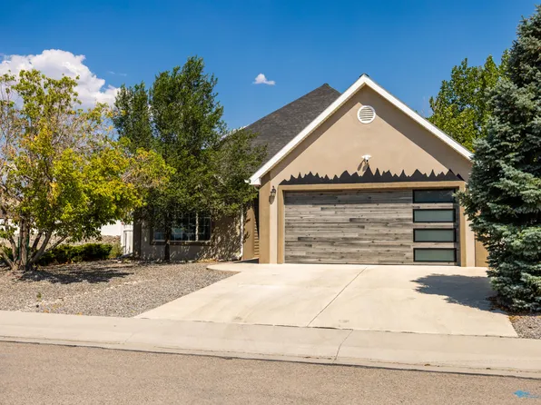 1340 Dry Creek Ave, Montrose, CO 81401