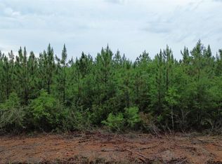 LOT 8 Pineview Church Rd, Jay, FL 32565