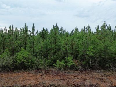 LOT 9 Pineview Church Rd, Jay, FL, 32565