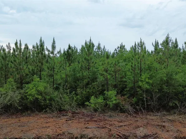 LOT 8 Pineview Church Rd, Jay, FL 32565