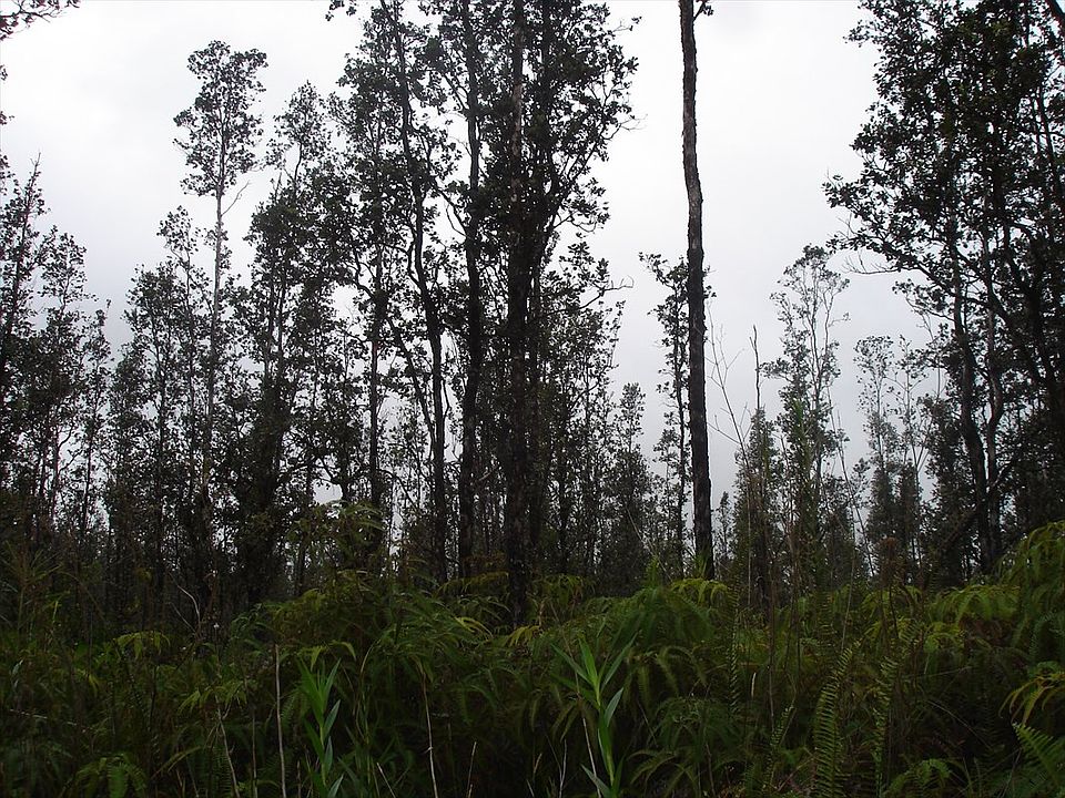 2nd image of Road 3 Hopue Lot 3150