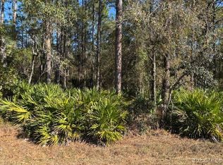 2659 S Bolton Ave, Homosassa, FL 34448