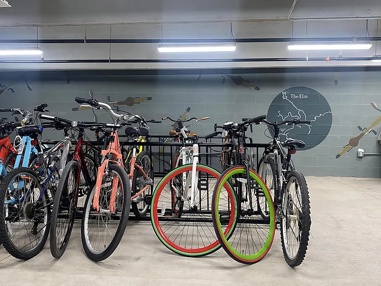 Secure Indoor Bike Room with Wall Art and Bike Washing Station