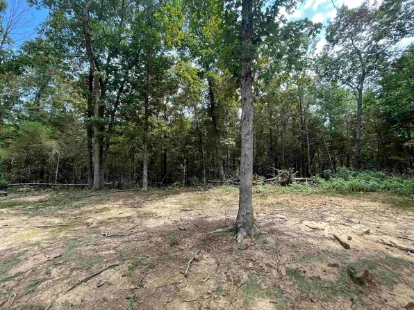 498 Benson Ln, Mountain View, AR 72560