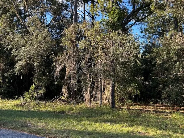 1721 W Pearson St, Hernando, FL 34442