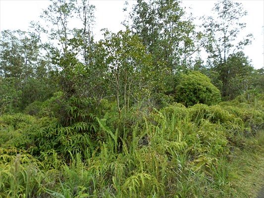 1st image of Kehaulani St Lot 11
