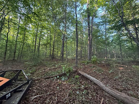 3rd image of 1672 Besstown Rd
