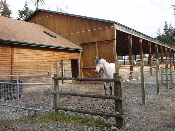 65X120 covered riding arena attached to barn