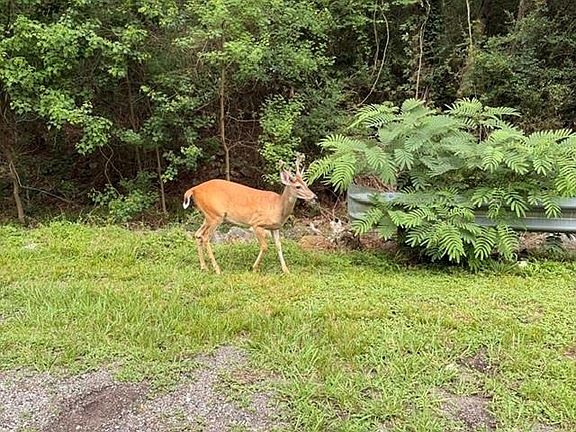 4th image of 2407 Decatur Ct Lot 67
