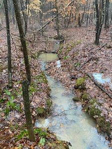 LOT 12 Tarragon Way, Moneta, VA, 24121