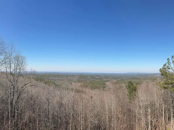 1190 Skyway Mtwy, Lineville, AL 36266