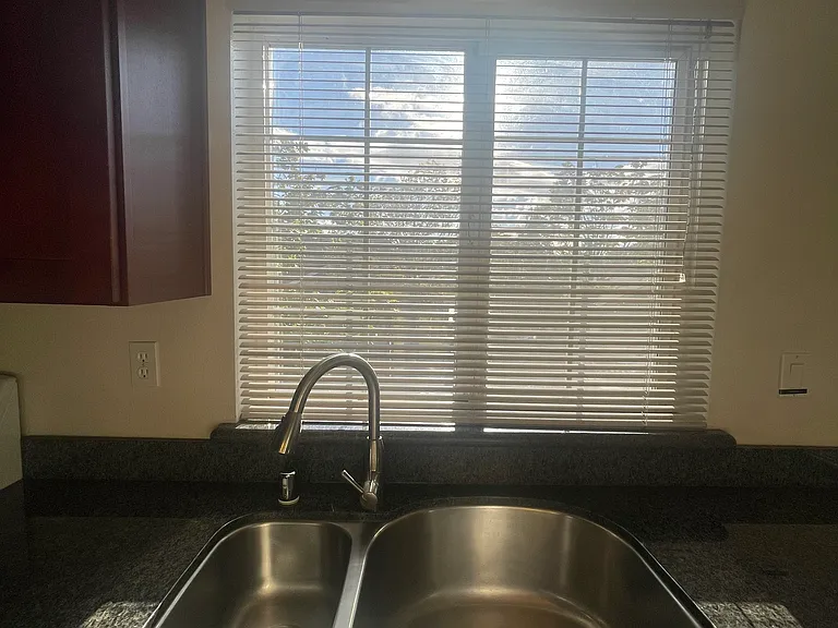 Stainless Dual Sink with Disposal