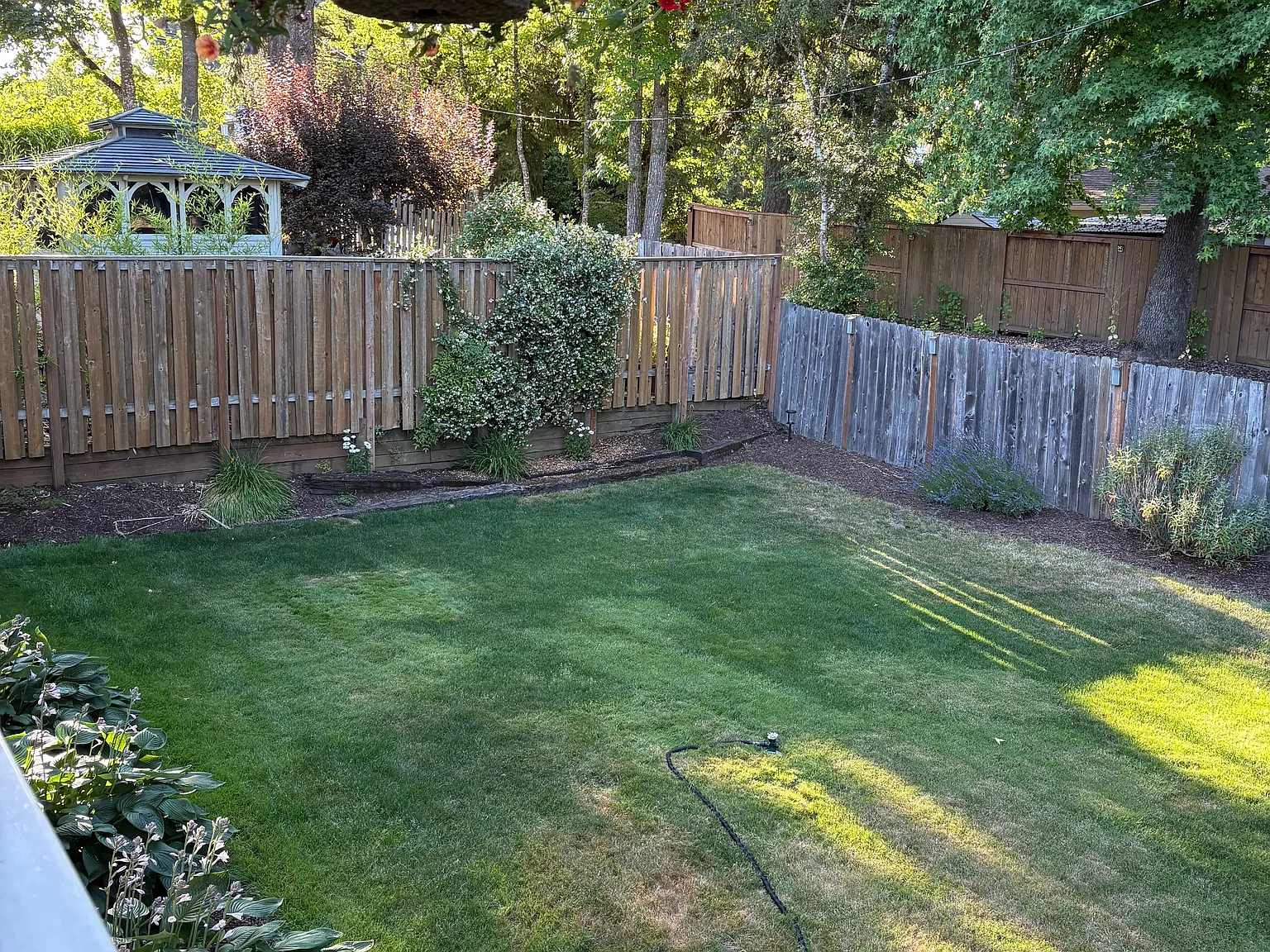 4 bed, 1704 sqft, $3,200 — Photo 3
