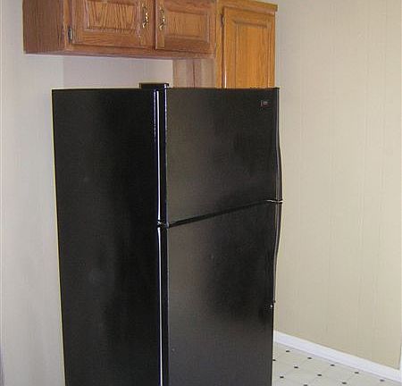 Frig with Upper Cabinet Storage