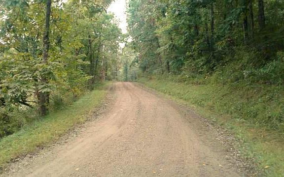 2nd image of 36372 Township Road 50