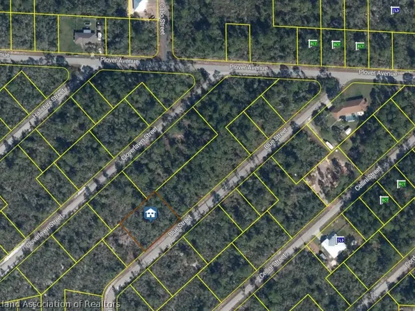 1048 Blue St, Lake Placid, FL 33852