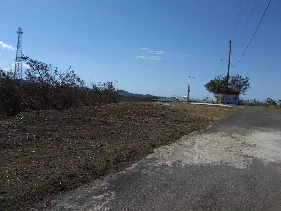 2nd image of LOT 7 Pineapple Hls