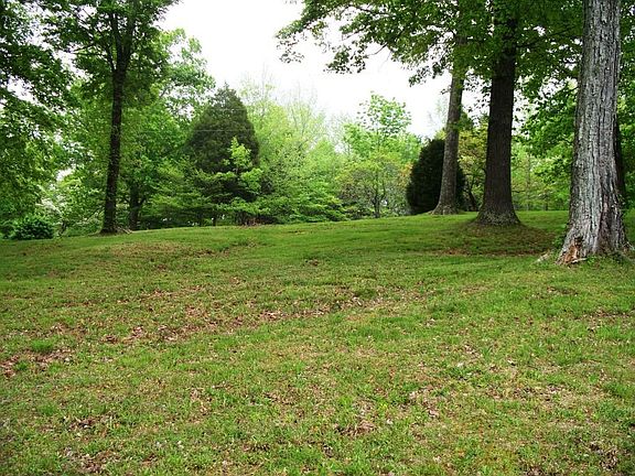 View from front porch, you cannot see the road from here.