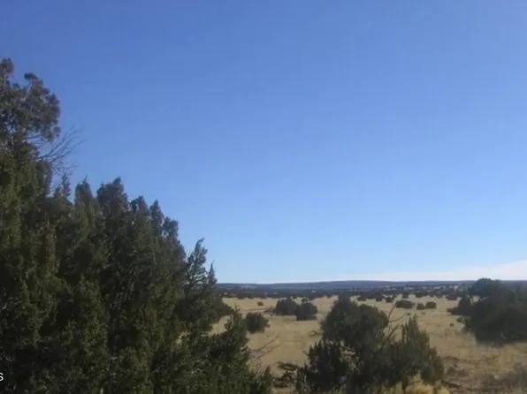 TBD Chevelon Retreat -- #-, Heber, AZ 85928