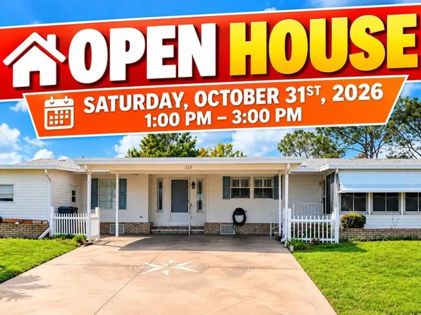 115 Tiger Lilly Dr, Parrish, FL 34219