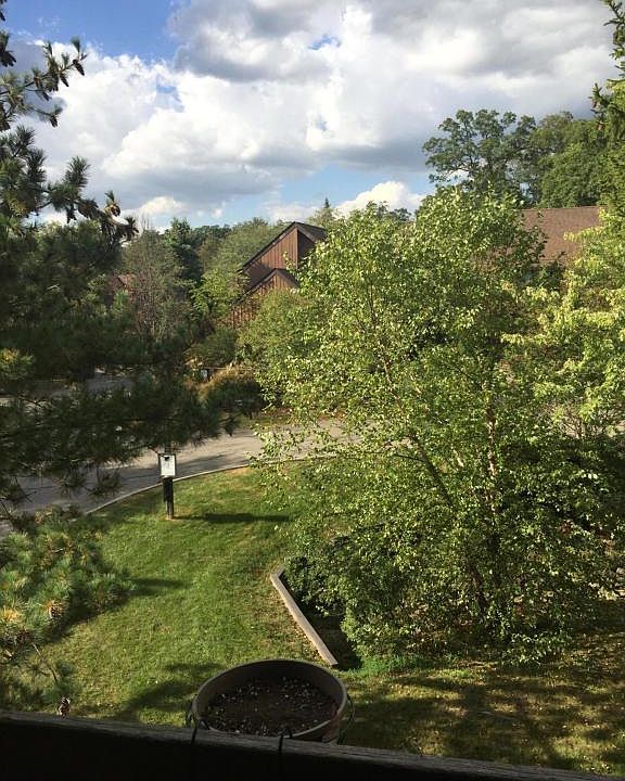 1st image of 5060 Grasshopper Ln