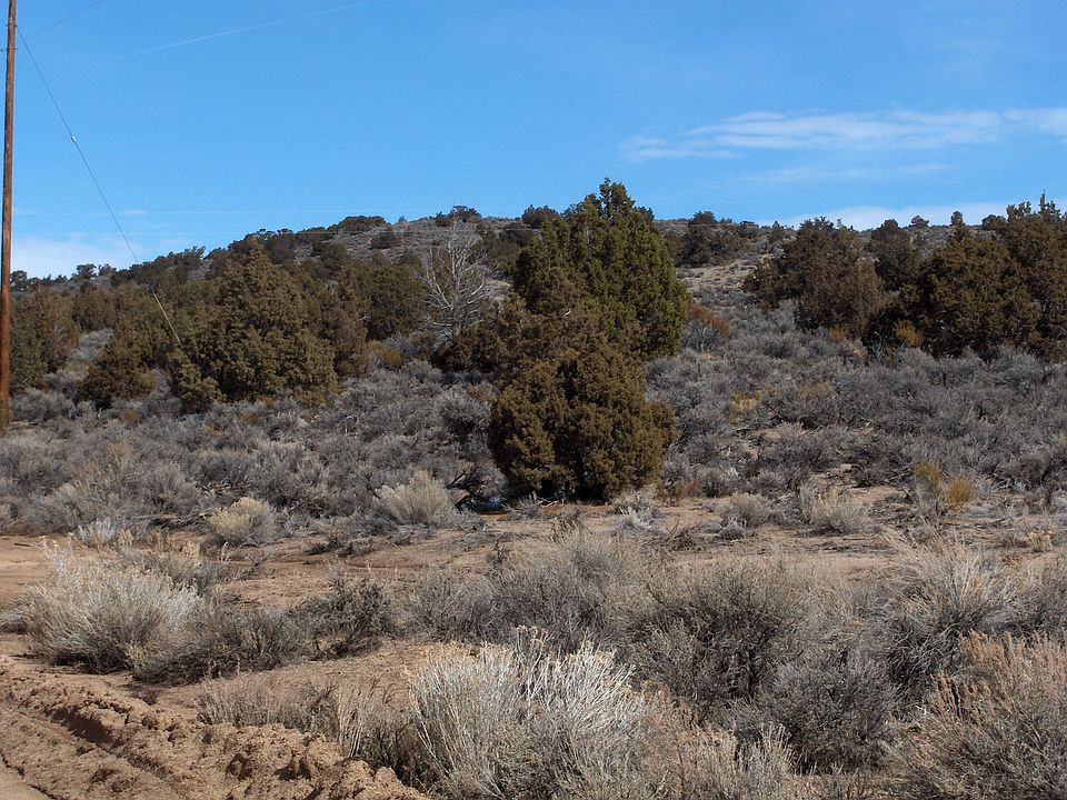 50 Beautiful Acres 