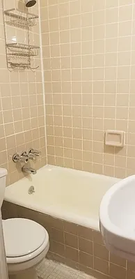 Rented by High Line NYC Realty Group | media 15