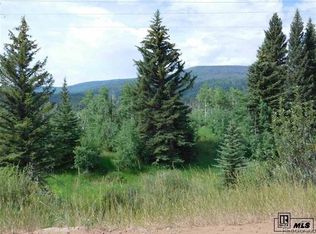 32491 Ute Trl, Oak Creek, CO 80467